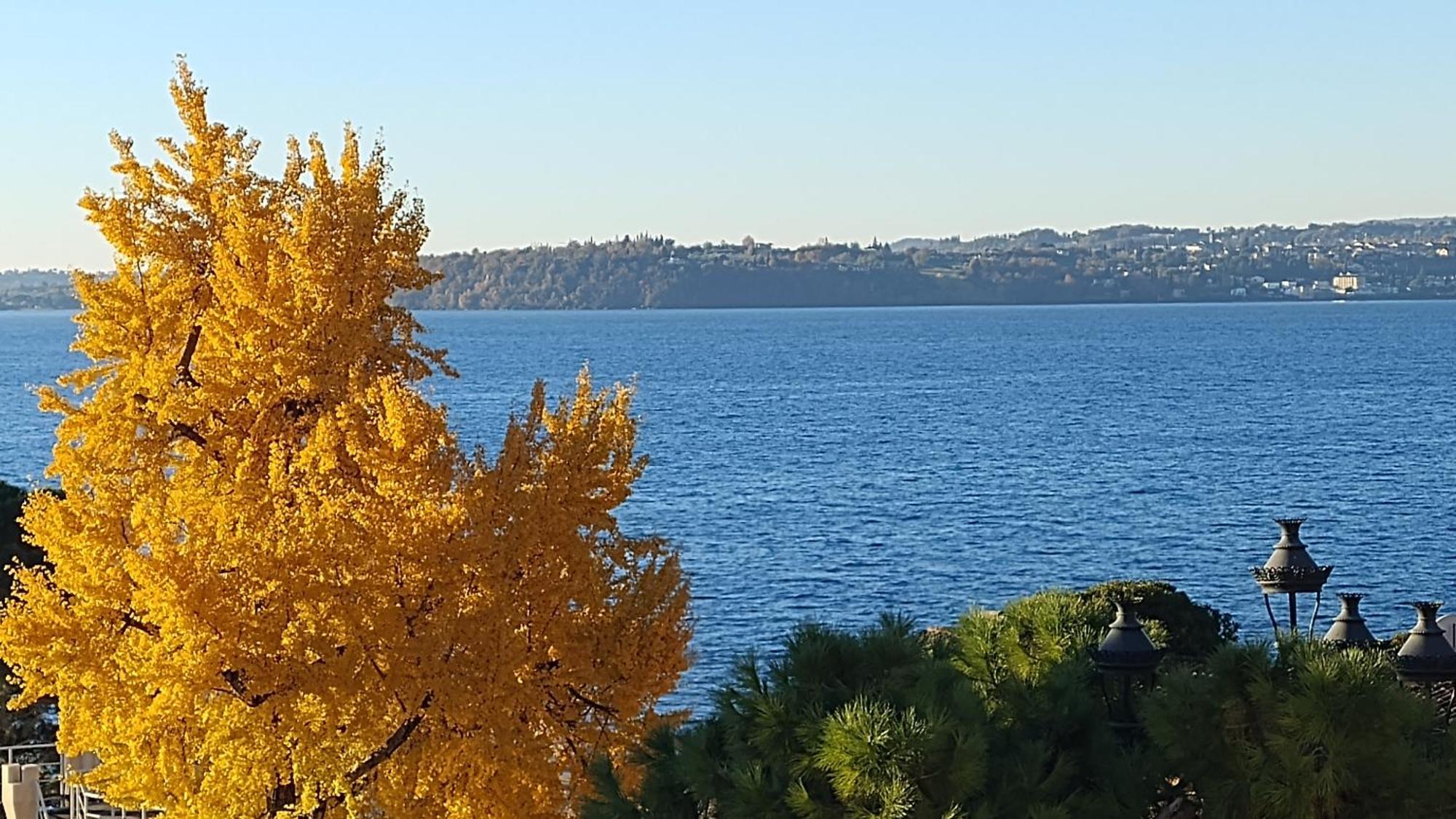B&B Agora' Gardone Riviera Exteriér fotografie